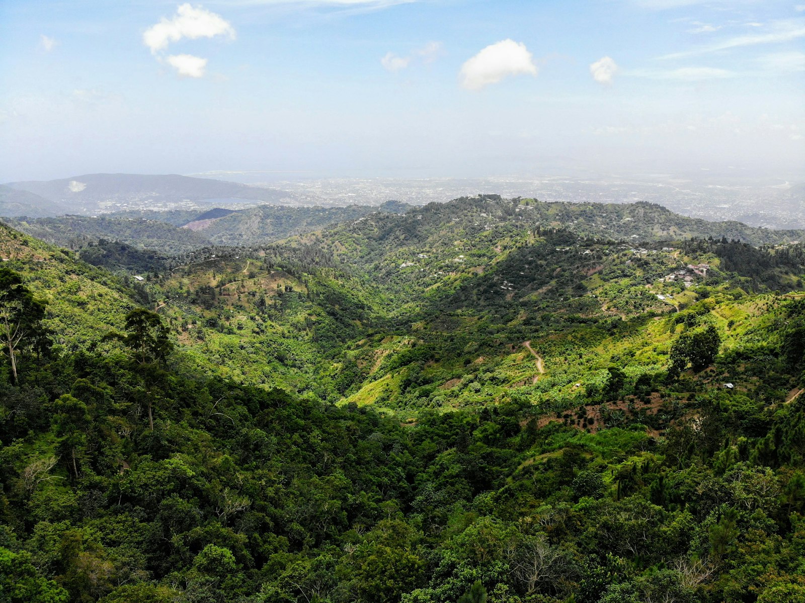 Aerial view of green mountain slopes under a blue sky in the Blue Mountains of Jamaica