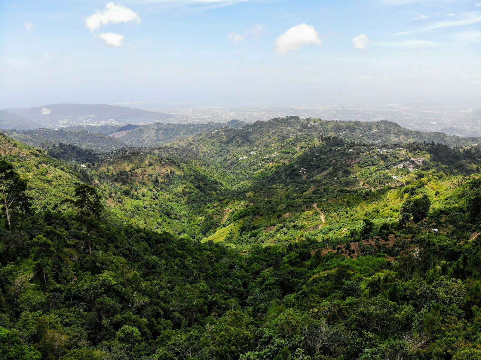 Blue Mountain range in Jamaica, lush green slopes under clear sky
